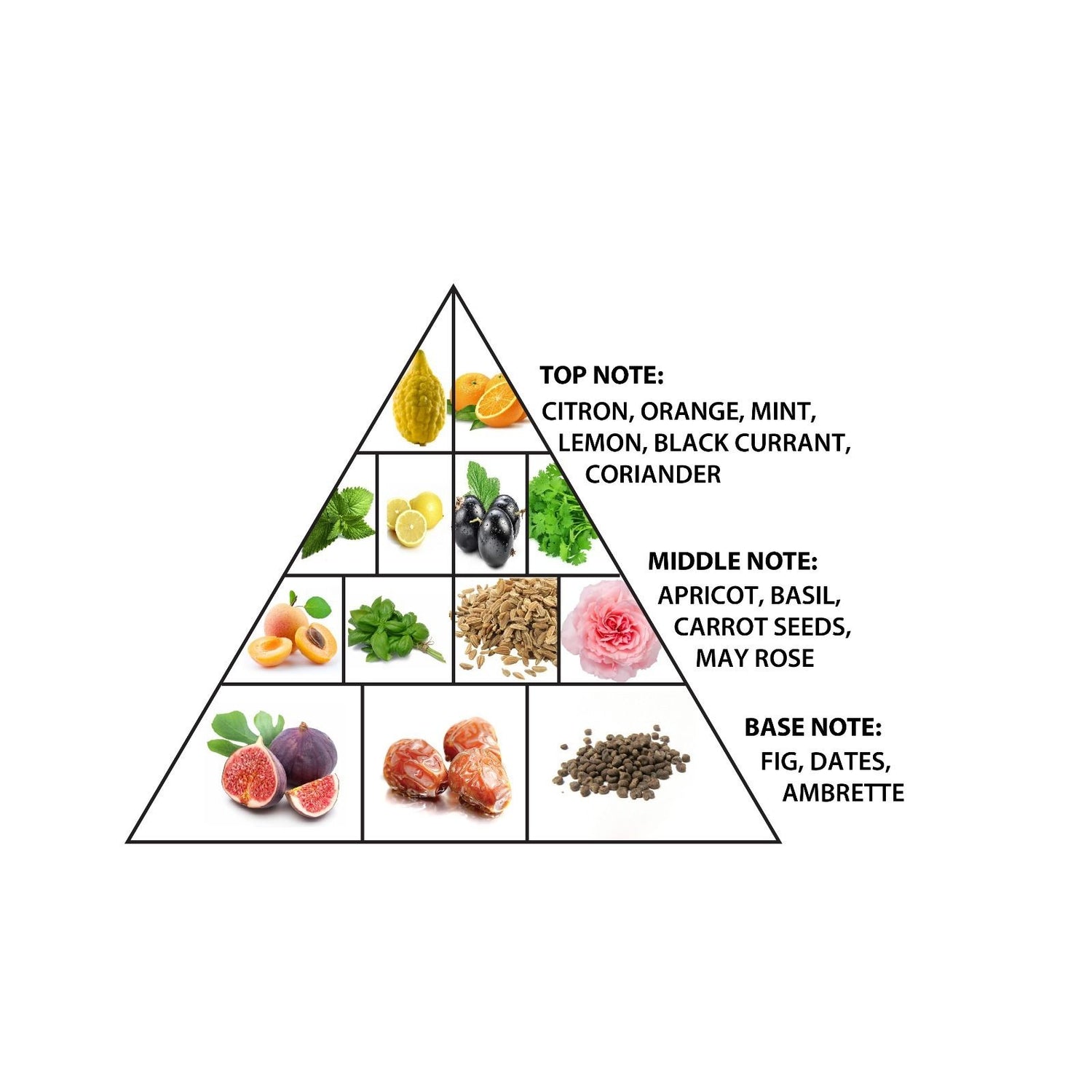 Natural Forest 100ml Extrait de Parfum