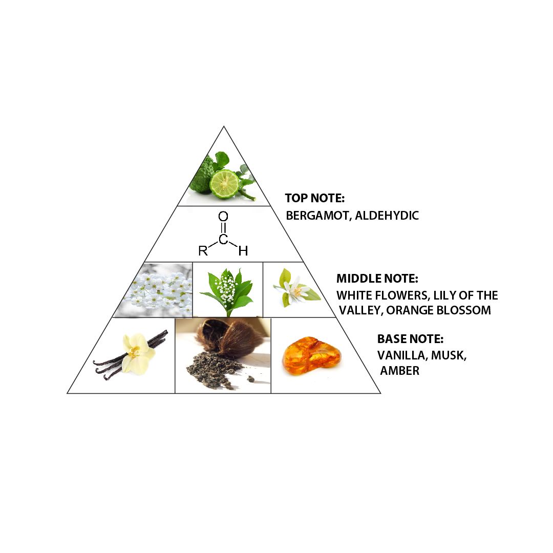 Head Heart Base Base Note Fragrance Vibrant Oudh